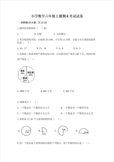 小学数学六年级上册期末考试试卷含完整答案夺冠系列