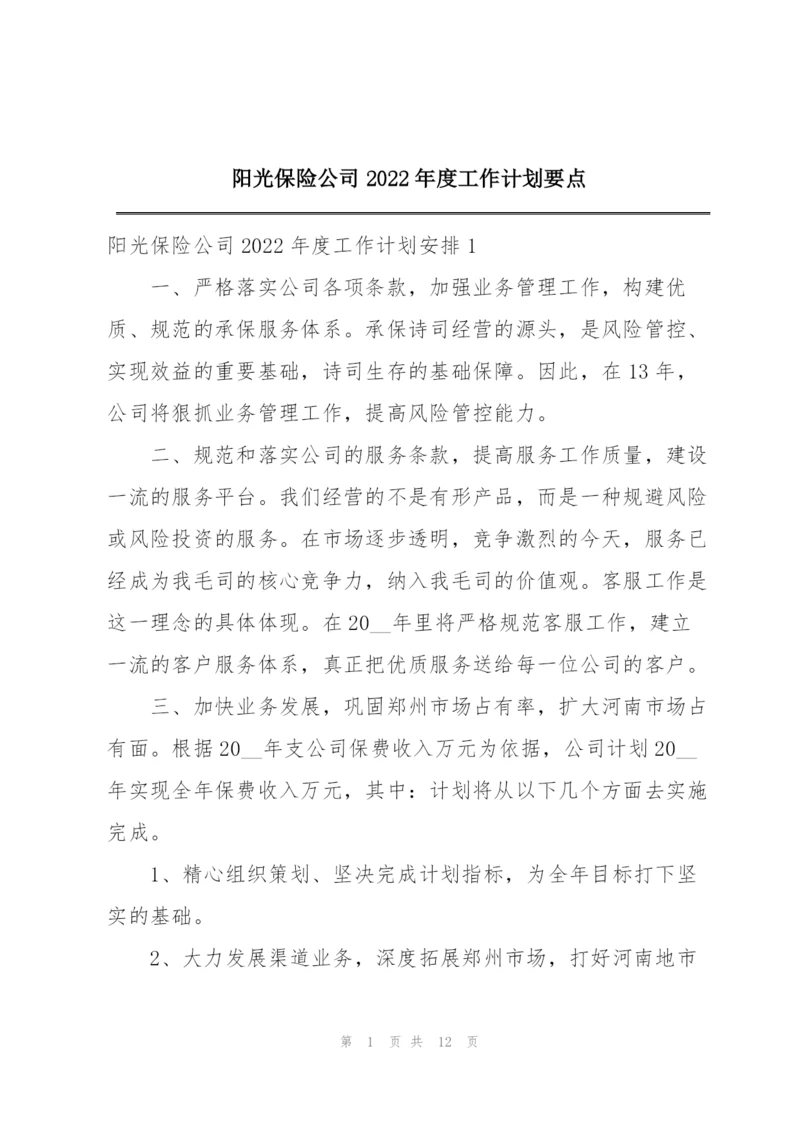 阳光保险公司2022年度工作计划要点.docx