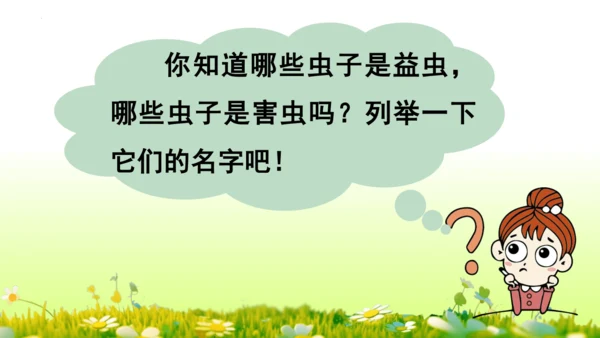 11.我是一只小虫子 课件