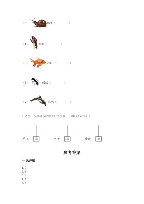 教科版小学二年级上册科学期末测试卷（基础题）.docx