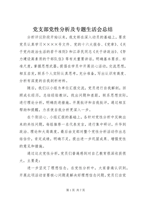 党支部党性分析及专题生活会总结.docx