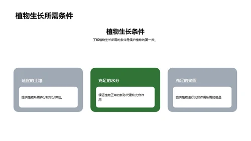 揭秘植物生长奥秘