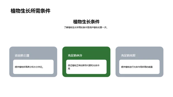 揭秘植物生长奥秘