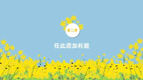 我们一起看油菜花幼儿教育通用PPT课件