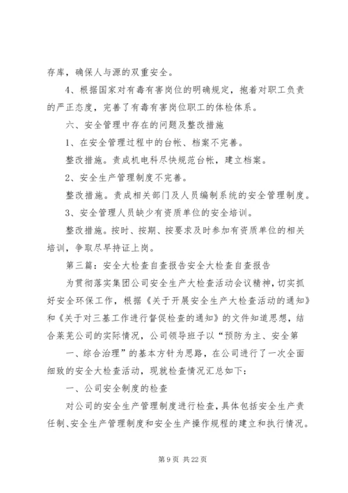 安全大检查自查报告 (8).docx