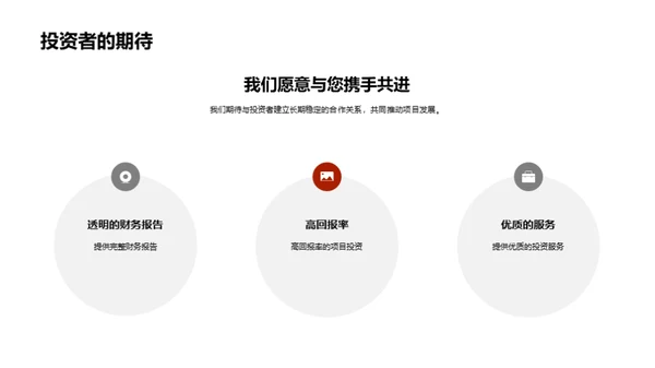 新项目投资展望