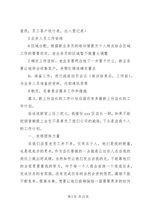 新上任店长的工作计划优选10篇.docx