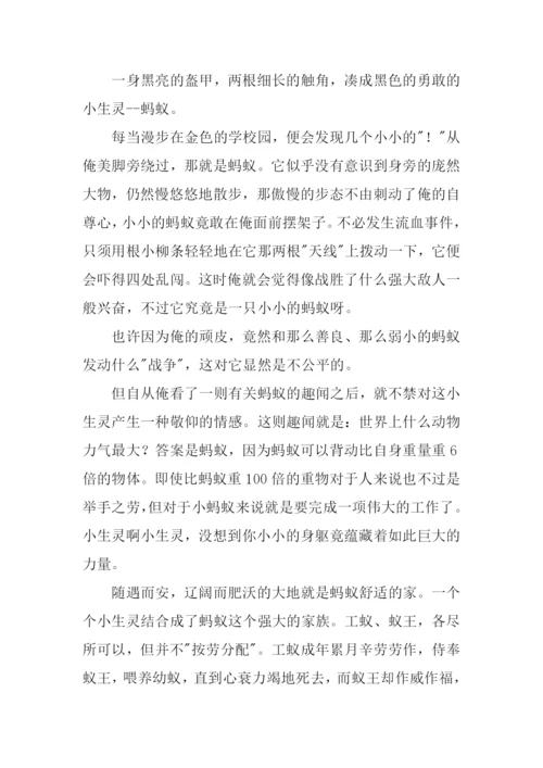 观察昆虫的小练笔.docx