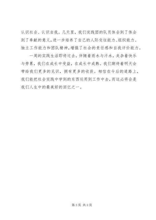 回报农村，投身实践.docx
