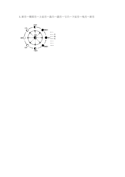 教科版三年级下册科学期末测试卷精品【能力提升】.docx