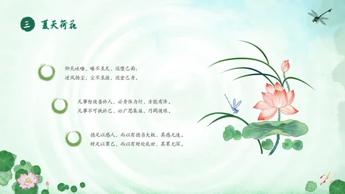 绿色荷花荷叶卡通中国风你好夏天PPT