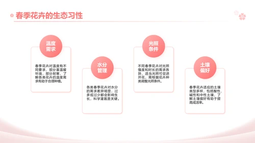 粉色实景风春季花卉主题汇报PPT模板