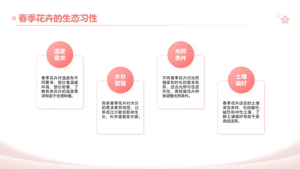 粉色实景风春季花卉主题汇报PPT模板