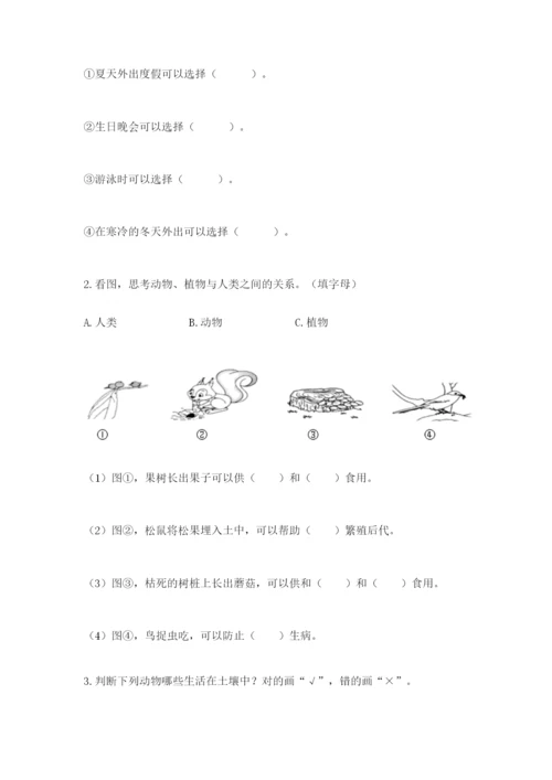 教科版小学二年级上册科学期末测试卷带答案ab卷.docx
