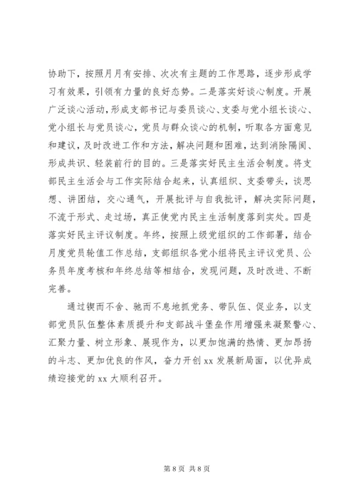 党支部某年上半年工作总结及下半年工作计划.docx