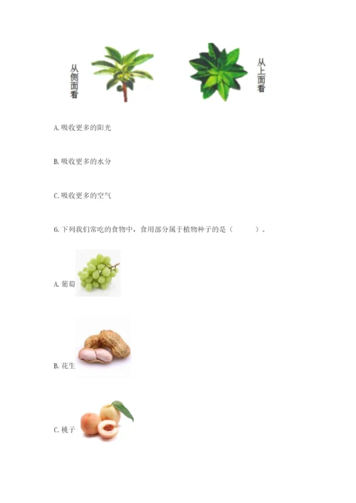 教科版科学四年级下册第一单元《植物的生长变化》测试卷精品【巩固】.docx