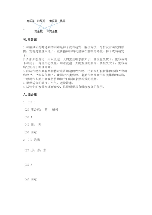 科学四年级下册第一单元植物的生长变化测试卷（名师系列）.docx