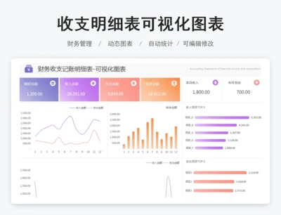 收支明细表可视化图表
