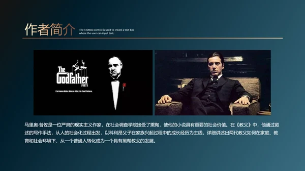 《教父》读书笔记ppt模板