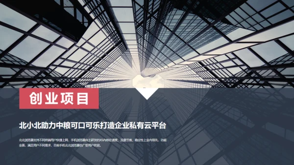 抽像大气商业项目计划书通用PPT模板