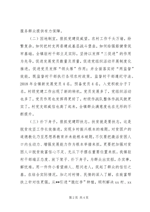 乡镇驻村工作队工作总结.docx