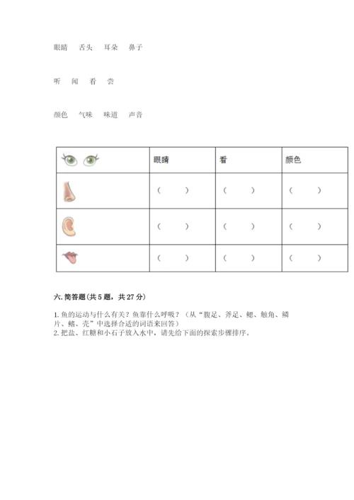教科版小学科学一年级下册期末测试卷精品.docx