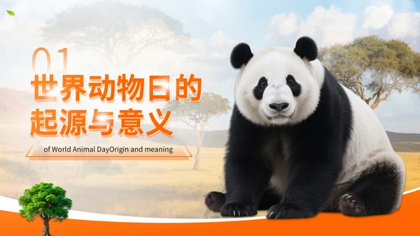 橙色世界动物日志愿者科普PPT模板
