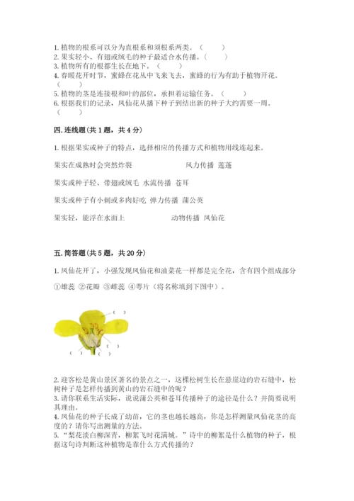 科学四年级下册第一单元《植物的生长变化》测试卷（完整版）.docx