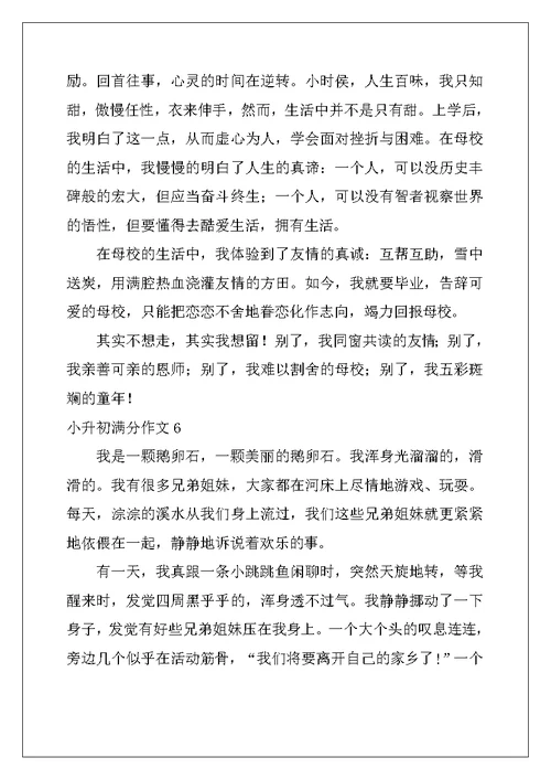 2022年小升初满分作文15篇