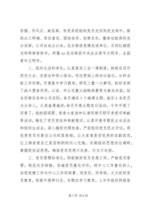 建设标准化规范化党支部情况报告两篇.docx