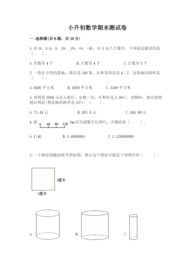 小升初数学期末测试卷（巩固）.docx