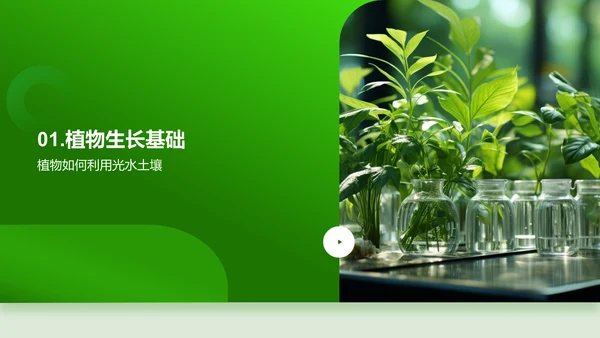 探秘植物生长