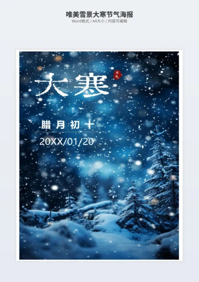 唯美雪景大寒节气海报