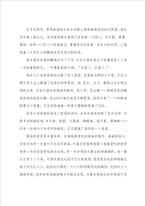 过年作文600字：乡下过年更热闹