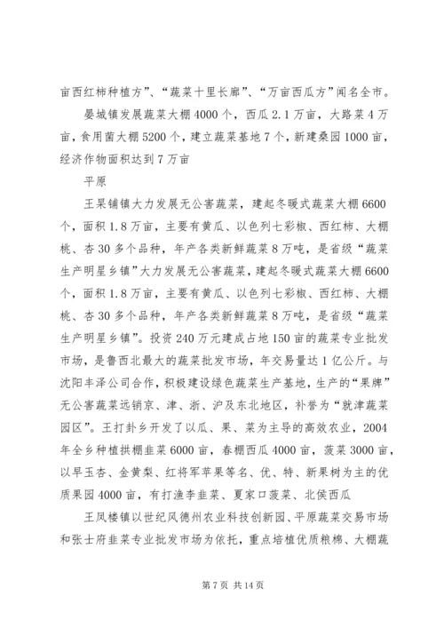 蔬菜大棚实施方案 (2).docx