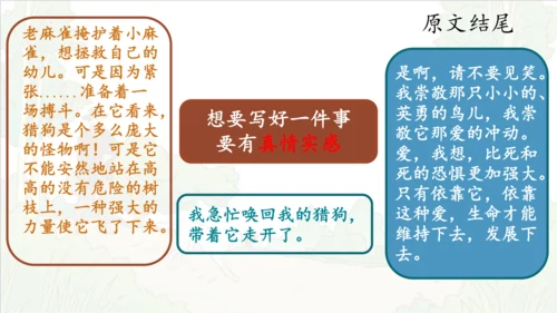 第16课《麻雀》课件