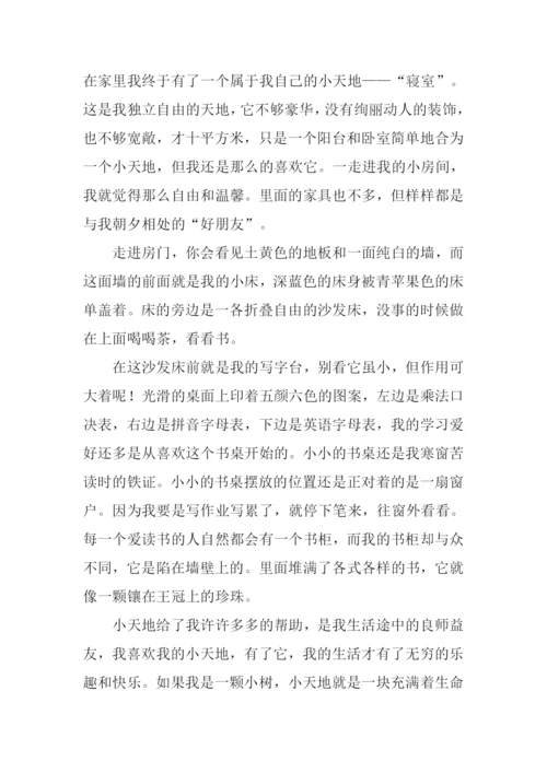 我的小天地作文开头.docx