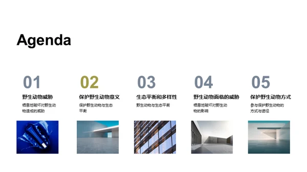 简约风其他行业教学课件PPT模板