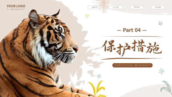 猎豹动物世界花豹科普介绍，豹子通用PPT模板