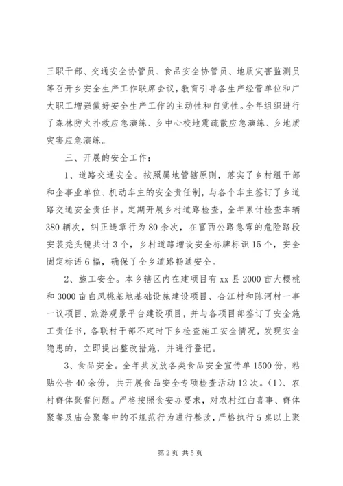 乡镇年度安全生产责任建设工作总结.docx