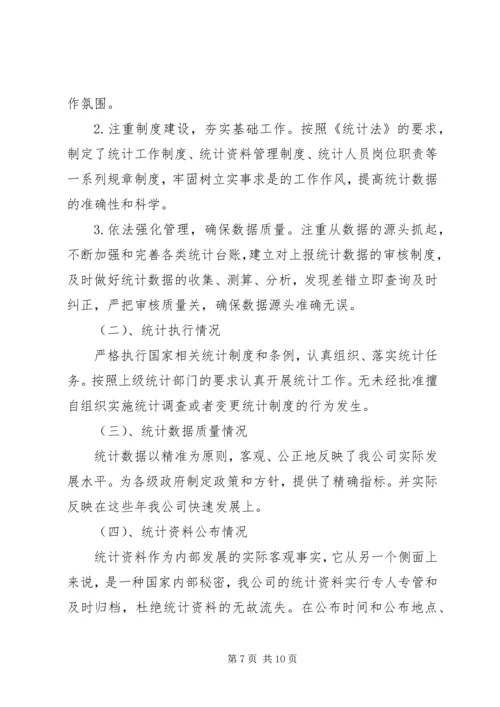 最新统计工作自查报告范文 (2).docx