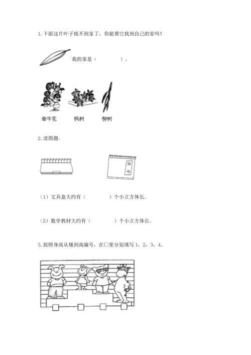 教科版一年级上册科学期末测试卷及答案【基础+提升】.docx