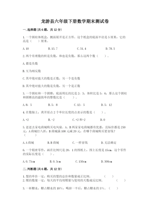 龙游县六年级下册数学期末测试卷审定版.docx