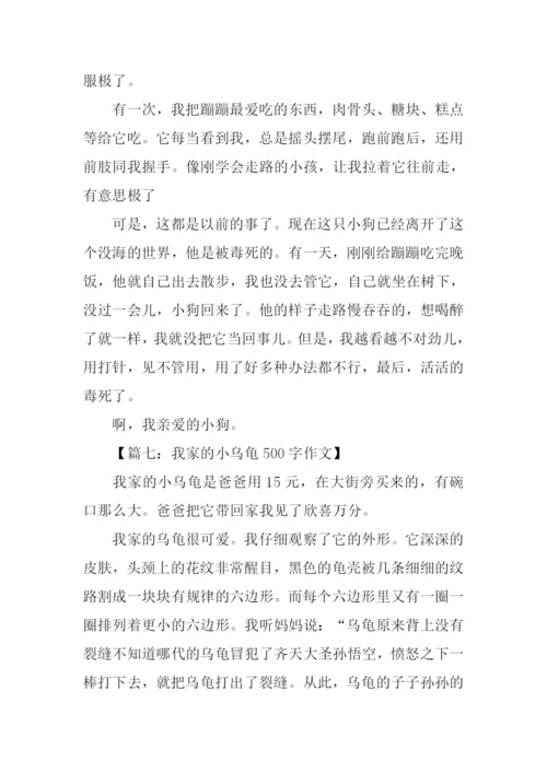 写物的作文500字.docx