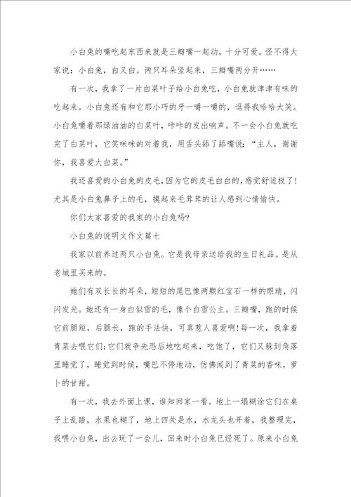 2021年观察小白兔说明文作文300字小白兔作文300字