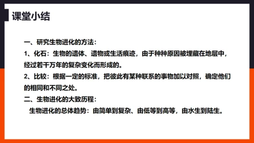 生命起源和生物进化企鹅通用PPT模板