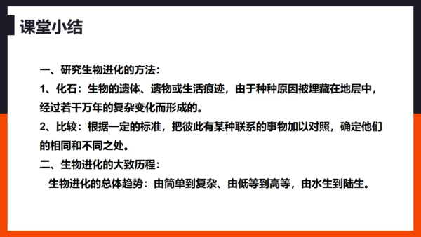 生命起源和生物进化企鹅通用PPT模板
