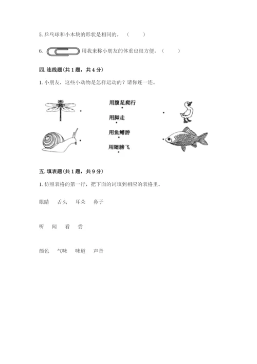 教科版一年级下册科学期末测试卷附参考答案【基础题】.docx