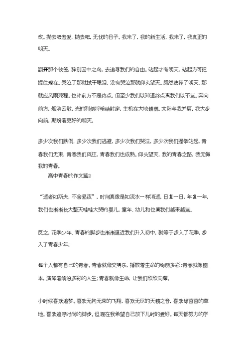 有关高中青春的作文集锦五篇