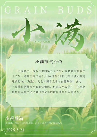 插画风二十四节气小满海报